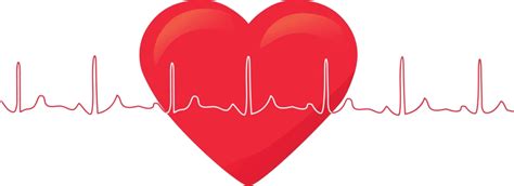 Heart Beat Line Vector Cardiac Display Electrocardiogram Vector