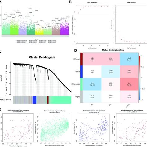 Differentially Expressed Gene Deg Analysis And Weighted Gene Download Scientific Diagram