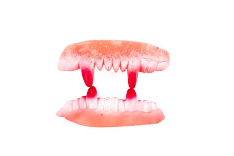 Best Bloody Teeth Stock Photos, Pictures & Royalty-Free Images - iStock