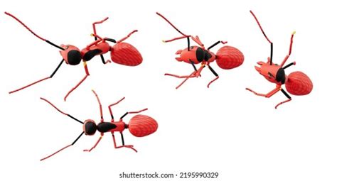 Ant Uphill Images Stock Photos D Objects Vectors Shutterstock