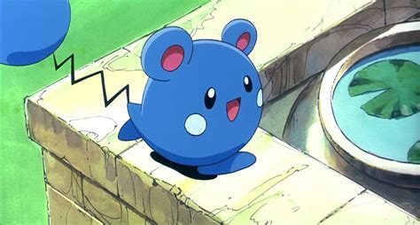 Azurill (Pikachu's PikaBoo) | Pokémon Wiki | Fandom