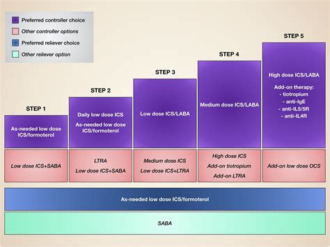 Frontiers Interleukin 5 In The Pathophysiology Of Severe Asthma