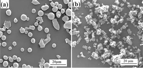 Fesem Images Of A Atomized Copper Microparticles And B Caco3