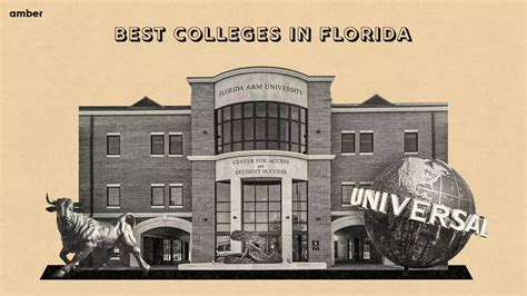 10 Best Colleges in Florida 2024 | Amber