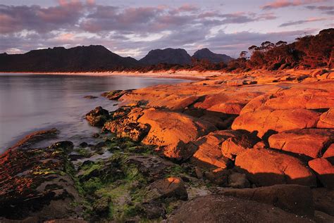 Arthur River Nature And Wildlife Discover Tasmania
