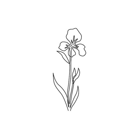 Premium Vector One Continuous Line Drawing Perennial Plants Wall