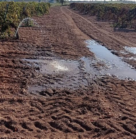 Nivel Del AcuÍfero 23 A Fecha 31 De Octubre De 2023 Y Otros Asuntos