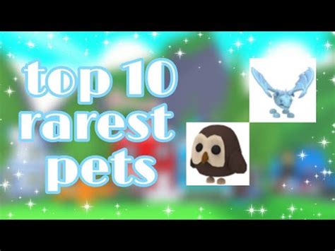 Rarest Pets In Adopt Me YouTube