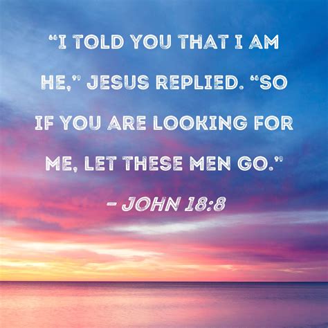 John 18:8 "I told you that I am He," Jesus replied. "So if you are