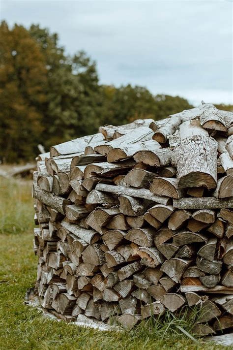 How To Build A Holz Hausen Round Firewood Stack A Productive Household