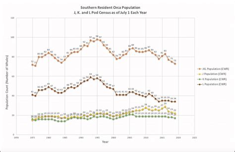 Whale Population Graph 2022