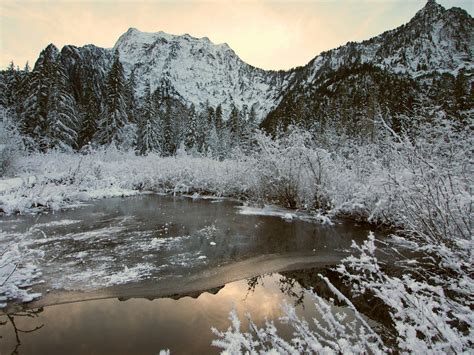 Big Four Ice Caves Snowshoe — Washington Trails Association