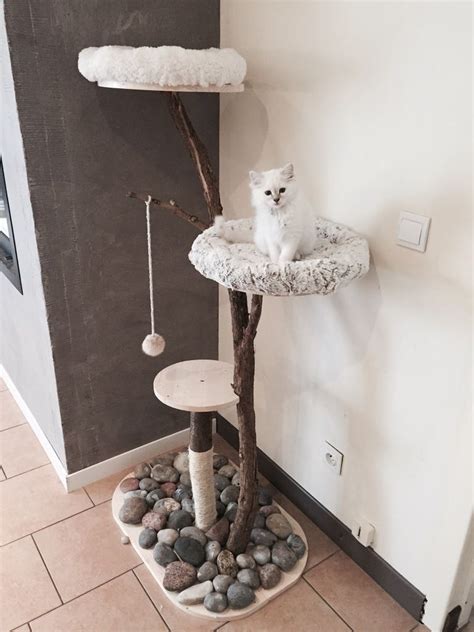 Arbre à chat DIY pour les radins comme moi Cat room diy Cat room