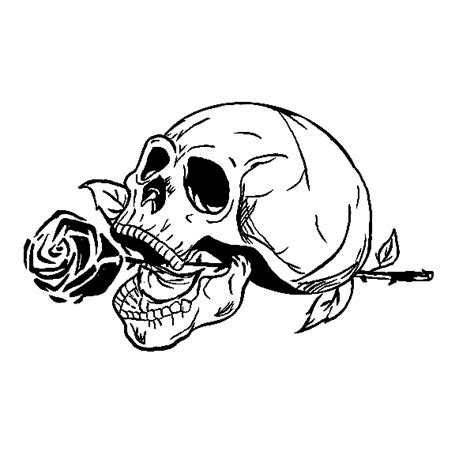 Skull And Rose Album On Imgur