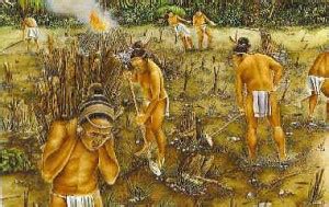 Mayan-People-Farming Picture