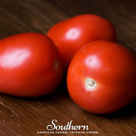 Tomato Roma Vf Solanum Lycopersicum Seeds Southern Seed