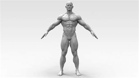 Bodybuilder 3d Model 3d Printable Cgtrader