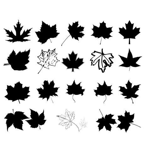 Maple Leaf Silhouette Bundle - MasterBundles