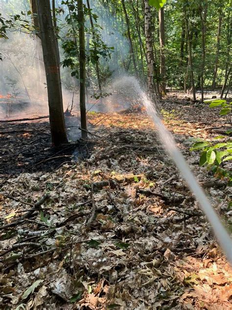 1000 Qm Waldboden Stehen In Flammen Wir Sind St Ingbert