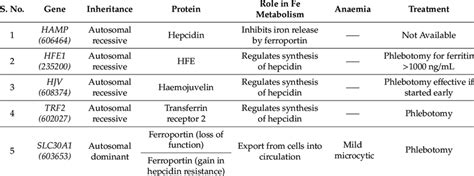 Disorders associated with iron metabolism leading to hepcidin deficiency. | Download Scientific ...