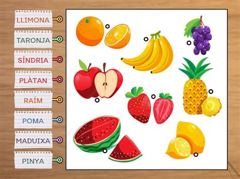 Quina Fruita Soc Diagrama Con Etiquetas