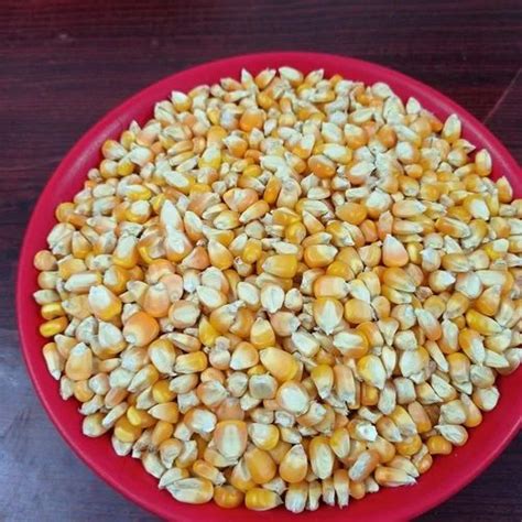 Yellow Maize Seeds For Food Processing Packaging Type Loose At Rs 22