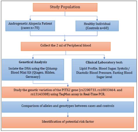 Association Between Pitx2 Polymorphism And Androgenetic Alopecia In The