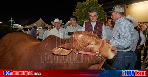 Hoy Tamaulipas Apoyo A La Ganaderia En Tamaulipas Ganaderia De