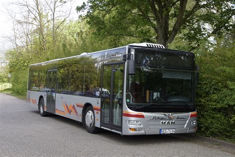 Man Nl Xx Lion S Coach Euro Verhuven Reisen Met Kenteke Flickr