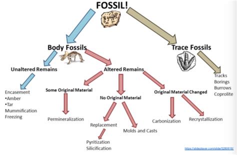 Geol Lecture Flashcards Quizlet