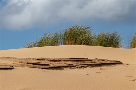 Sylt Sea Island North - Free photo on Pixabay