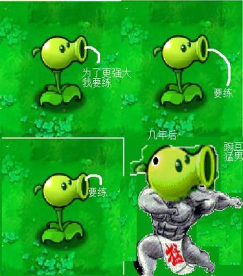 《植物大战僵尸》四格漫画杂集中国游戏门户站