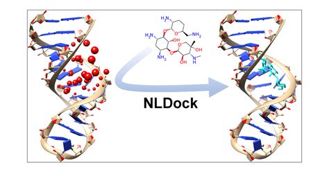 NLDock A Fast Nucleic AcidLigand Docking Algorithm For Modeling RNA