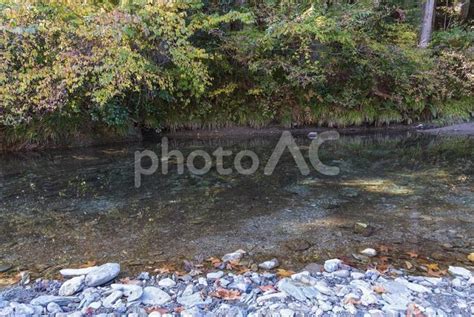 静寂に包まれた阿多古川の美しい景色 No 25362760｜写真素材なら「写真ac」無料（フリー）ダウンロードok