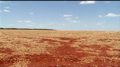 Falta de chuva atrasa o plantio da soja em Goiás Globo Rural G1