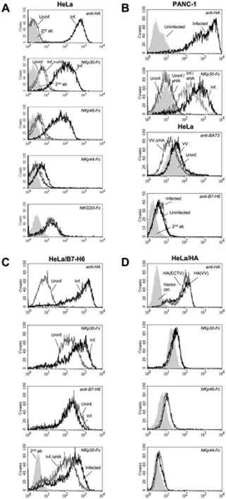 Modulation Of Nkp30 And Nkp46 Mediated Natural Killer Cell Responses