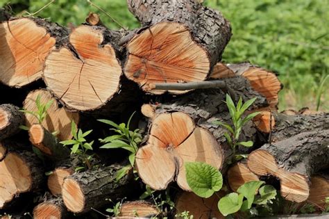 Premium Photo Closeup Of Wood Chunks Chopped As Firewood Lying On The