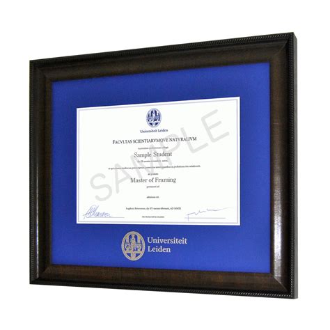 Leiden University Diploma Frame | Ivy Frames Diploma Frames