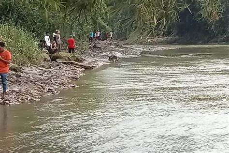 Bocah 11 Tahun Hanyut Dan Tenggelam Di Sungai Bogowonto Purworejo