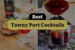 3 Tawny Port Cocktails That Will Shake Up Your Happy Hour! | DineWithDrinks