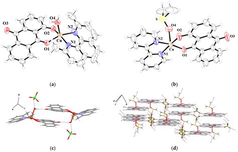 Inorganics Free Full Text Heteroleptic Copper II Complexes