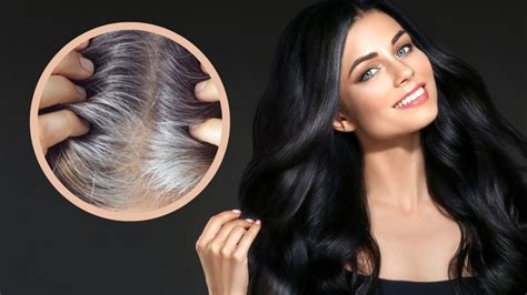 Cómo matizar el cabello negro con canas Ser Zen