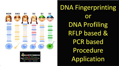 Introduction To Dna Fingerprinting