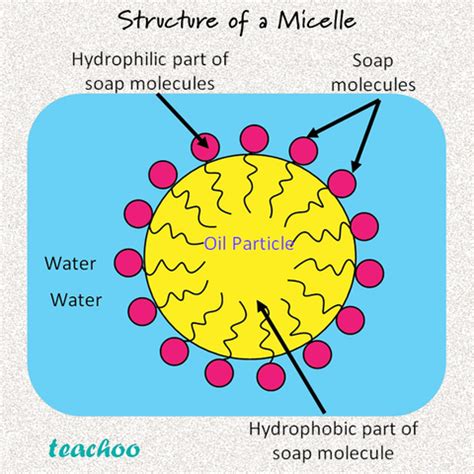 Soap Molecule Structure