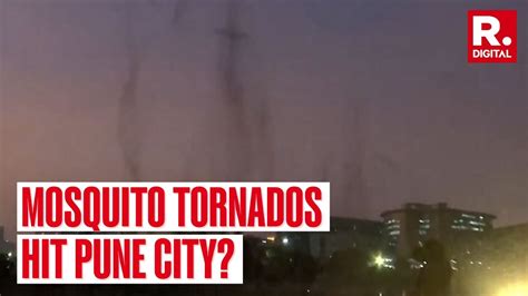 Watch Mosquito Tornados In Pune Spook Citizens After Heavy Rains