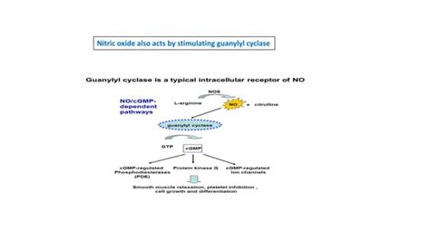 Pathways Of Intracellular Signal Transduction Ppt