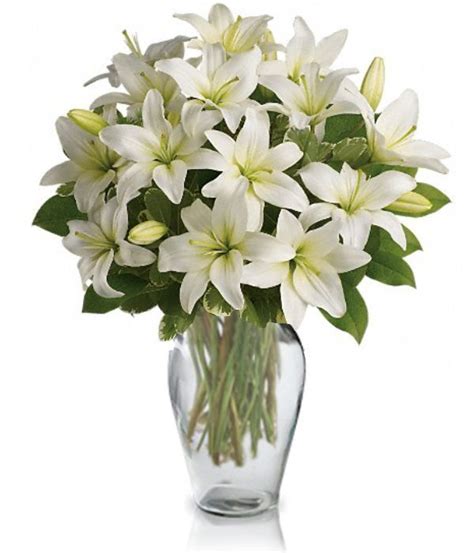 White Lily Serenity Send Sympathy And Funeral Flowers Bloomex