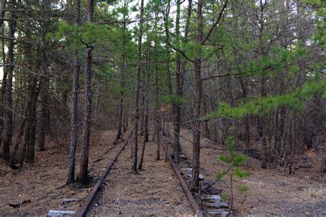 Pine Barrens Threatened Earth Wise