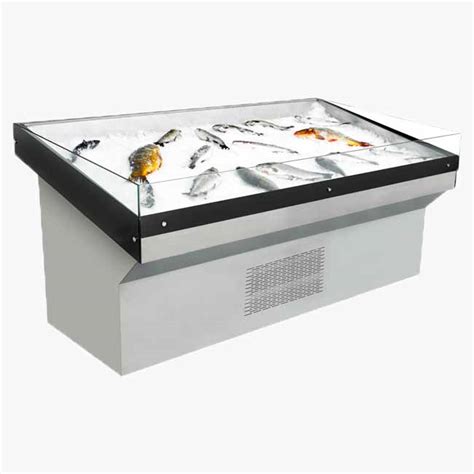 Snowdrop Fish Counter Display Star Cold