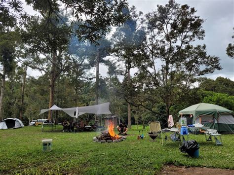 Best 5 Pet Friendly Camping Site In Malaysia Ptt Outdoor
